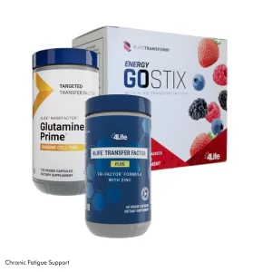 Chronic Fatigue Support